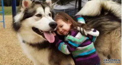 <b>這幾種表現(xiàn)證明狗狗真的很愛你！</b>