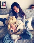 全世界最貴的貓都在這了！大多數(shù)人一輩子都沒(méi)