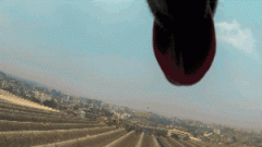 請(qǐng)你放過狗狗，不愛，但請(qǐng)別傷害！