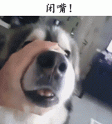 自從養(yǎng)了狗，撿屎官們就多了這些口頭禪……