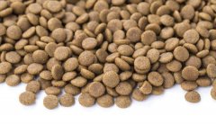 狗糧貓糧怎么儲(chǔ)存，華興寵物食品提示您