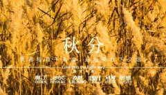 秋分丨晝夜分畫，漸入秋華